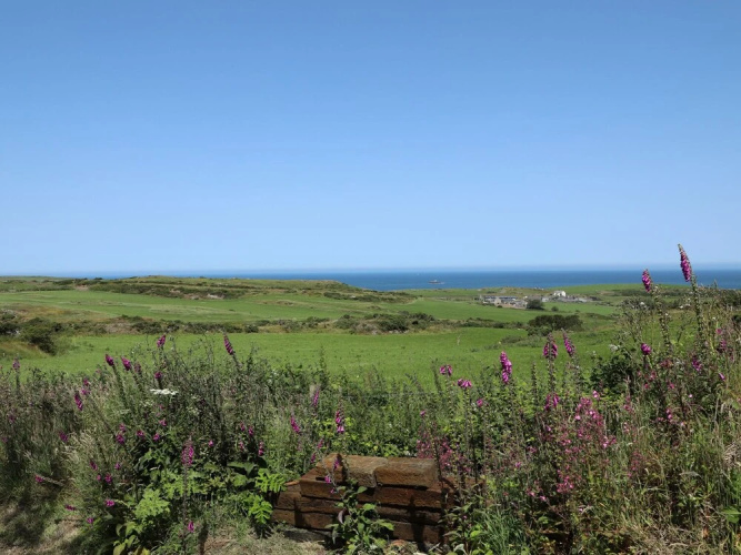 West View