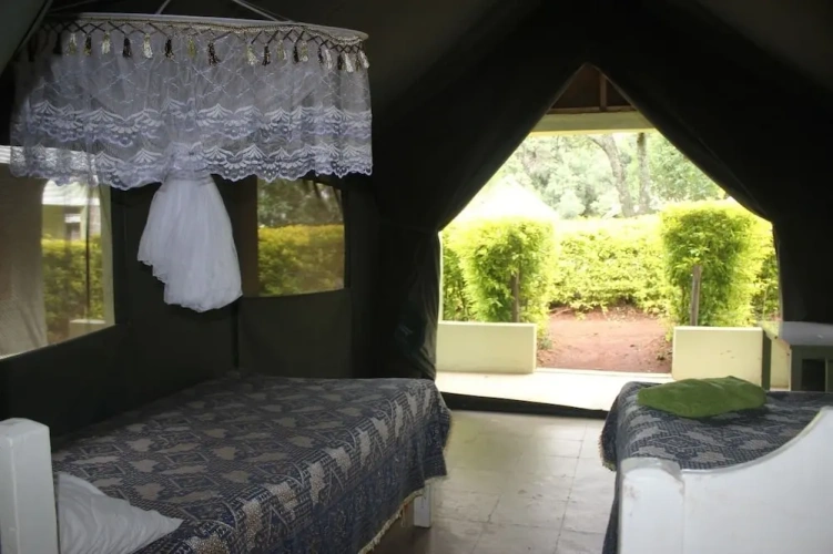 Tent