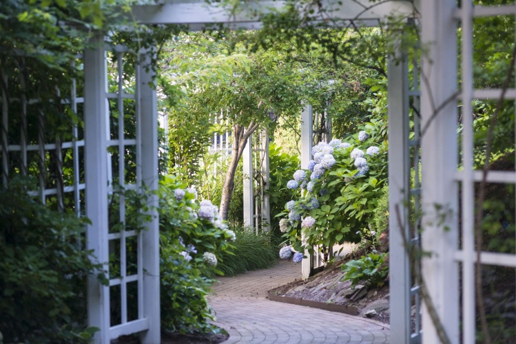 The Garden City Hotel photo 24