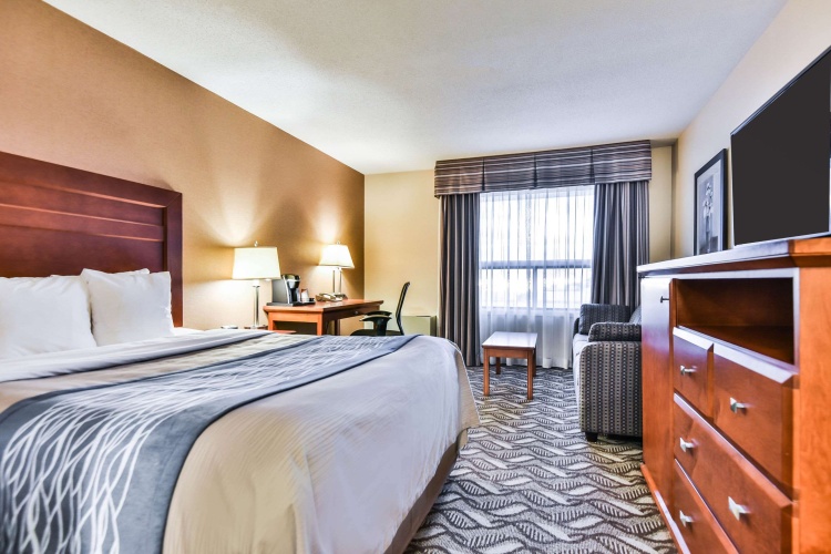 Comfort Inn & Suites Ambassador Bridge photo 7