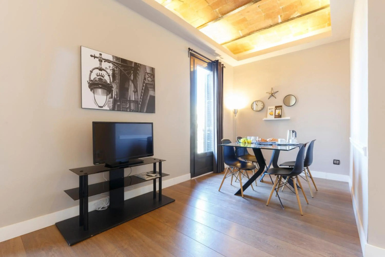 AinB Eixample Miró Apartments