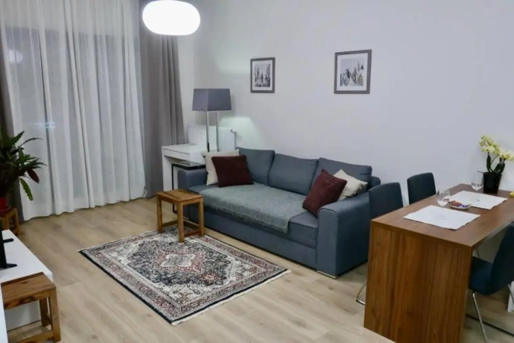 1 Bedroom Apartment