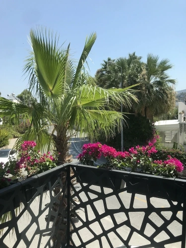 1 Bedroom Deluxe room with balcony and with city view