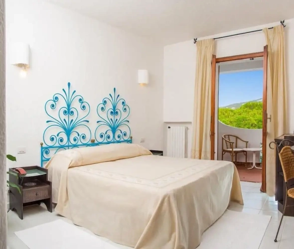 Classic Double room with balcony and with garden view