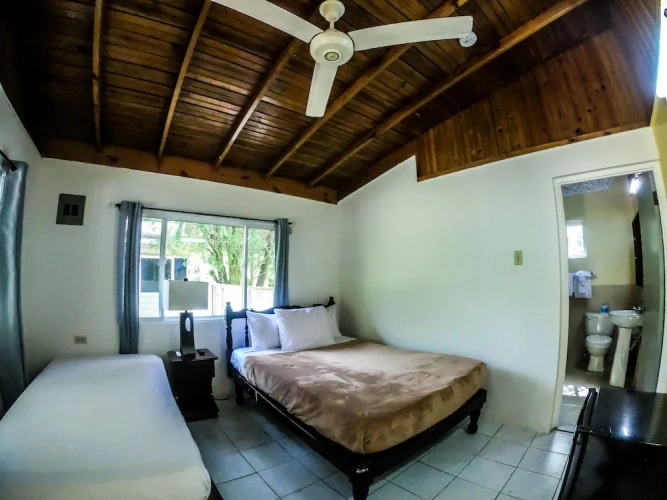 Standard Double room with garden view