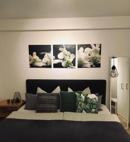 1 Bedroom Apartment with view