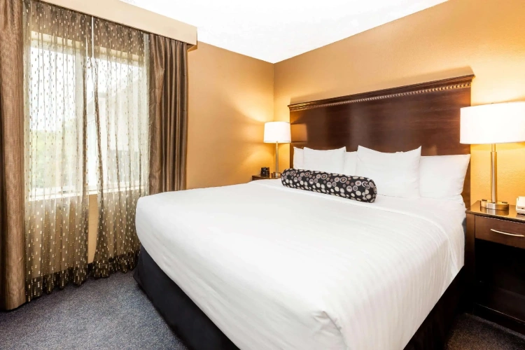 1 Bedroom Double Suite