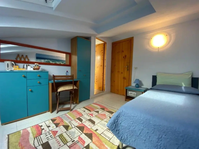Economy Single Attic room