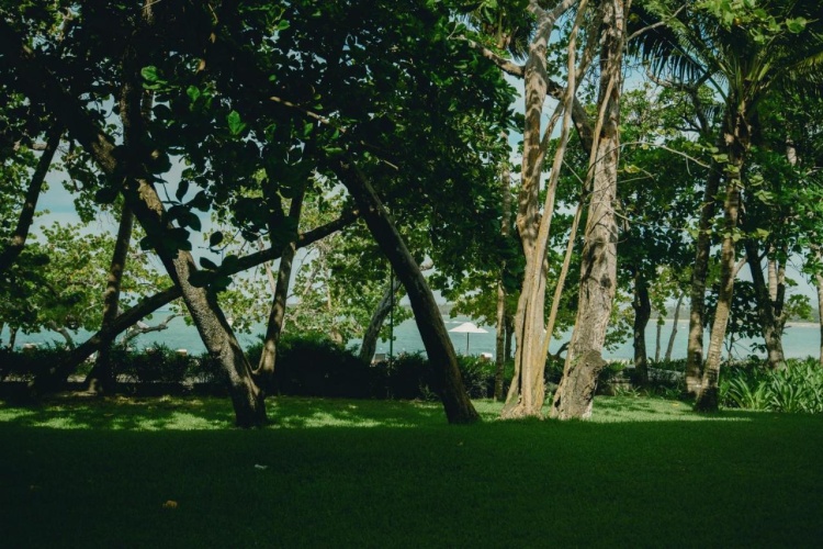 Casa Colonial Beach & Spa photo 33