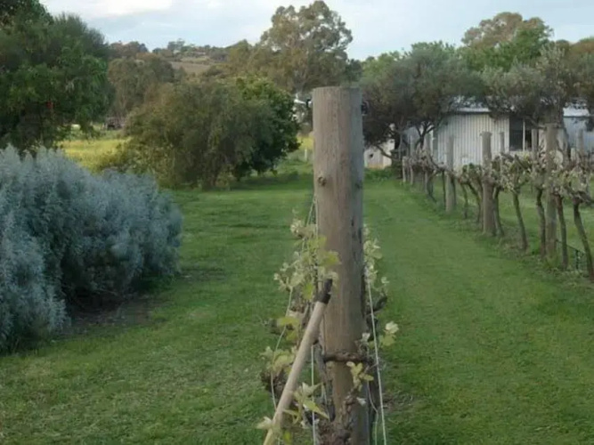 Southern Vales Bed & Breakfast