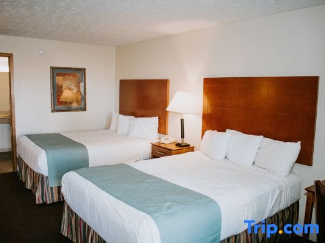 Standard Double Basement room