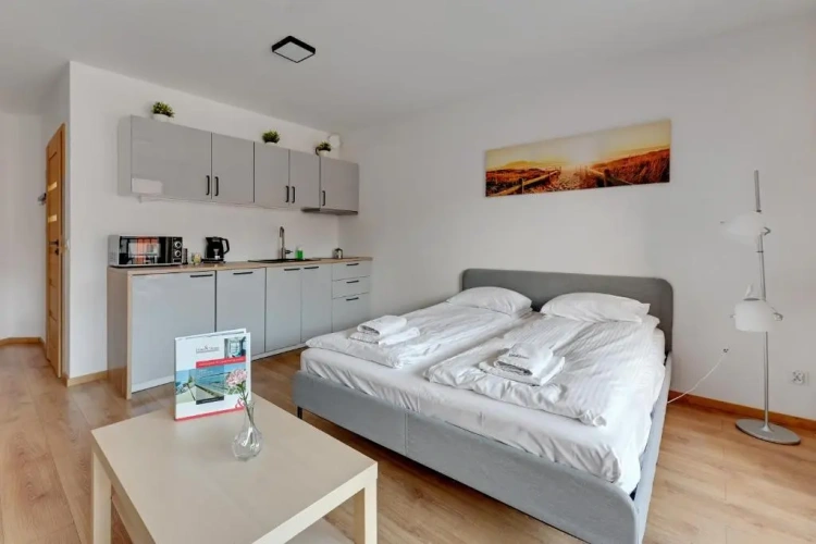 Studio with balcony