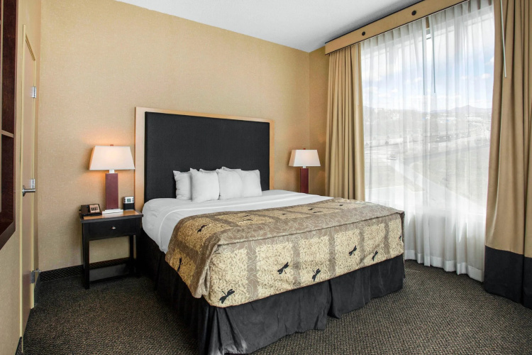 SpringHill Suites by Marriott Roanoke