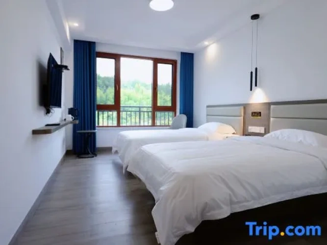 Standard Double room with mountain view