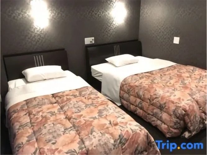 Standard Twin room with city view