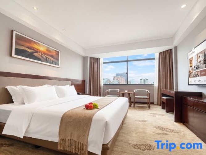 Deluxe Suite with city view