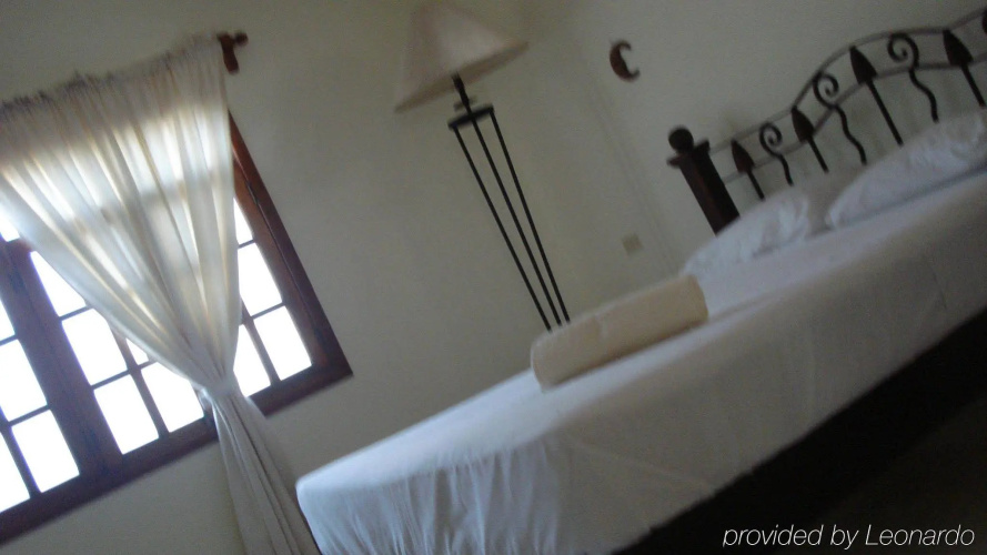 Beachouse Dive Hostel Cozumel