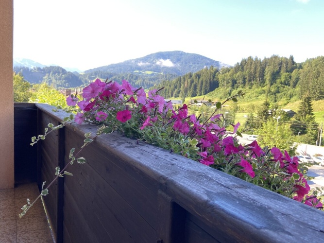 Apartment with balcony and with mountain view