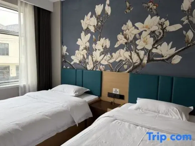 Premium Twin room