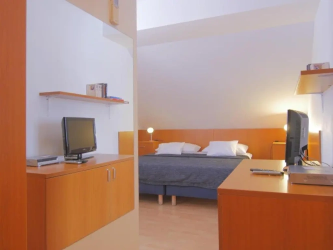 Standard Double room with balcony and with view
