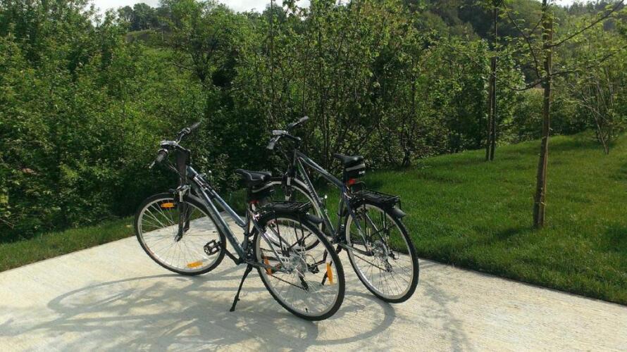 Ortenia Apartments in Nature Over view