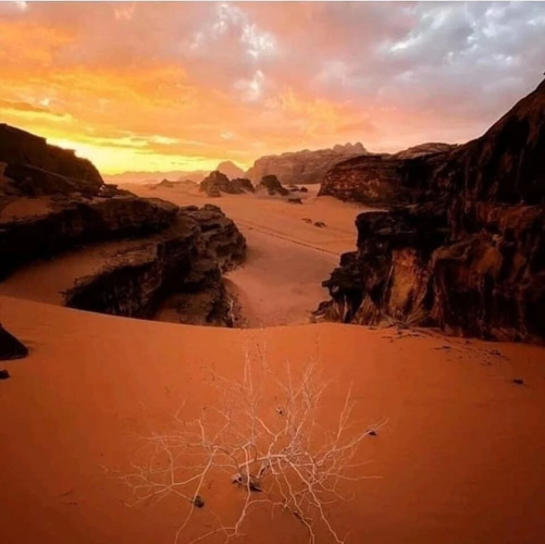 sand camp wadi rum