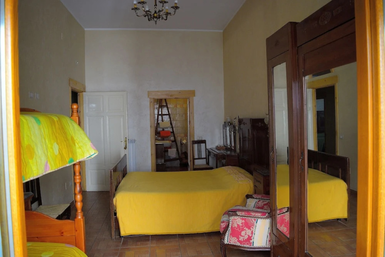 B&B Animali Selvaggi