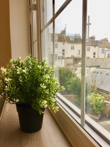 1 Bedroom Apartment in Central Brighton