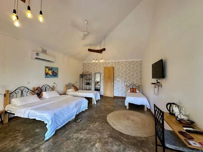 Standard Single room