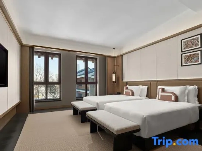 Twin Suite