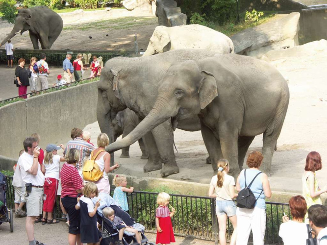 Lindner Hotel Hamburg Hagenbeck photo 27