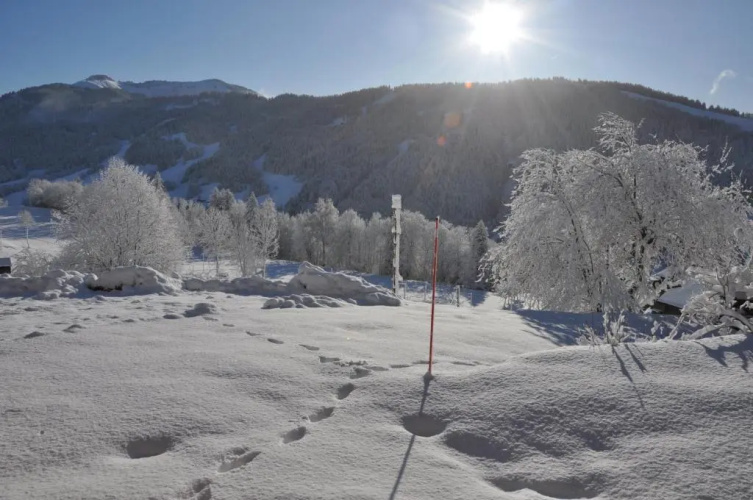 Le Mazot de Marie - Chalet 6 Pers