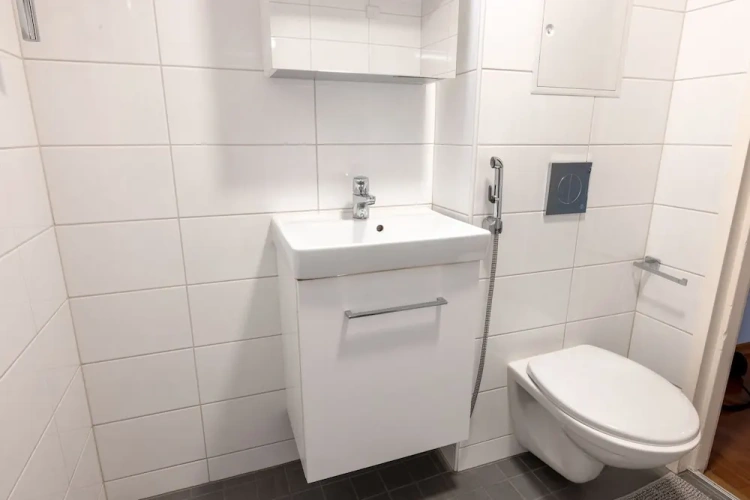 Comfort Apartment
