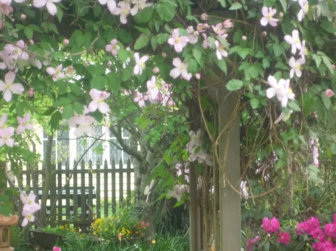 Rossmore Cottage