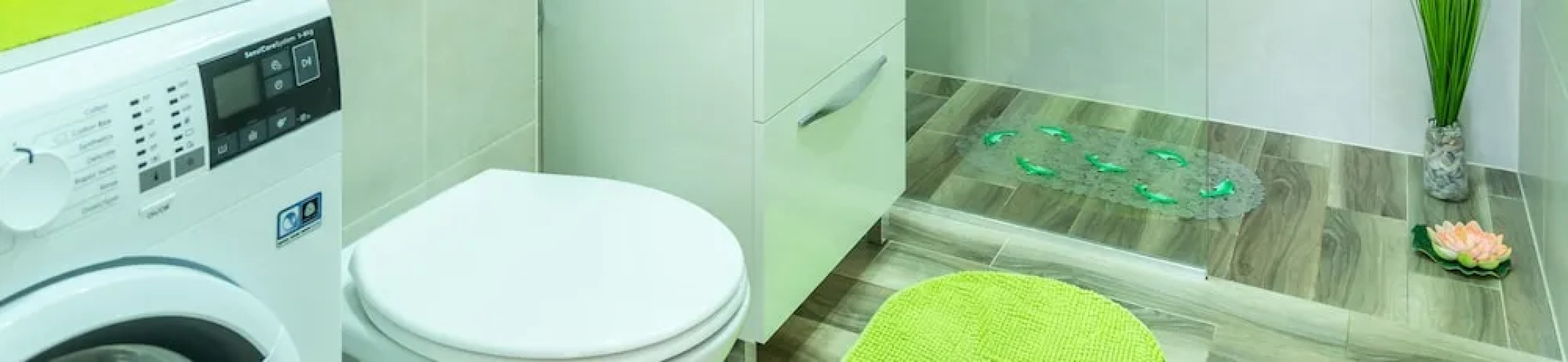 Apartment Bor