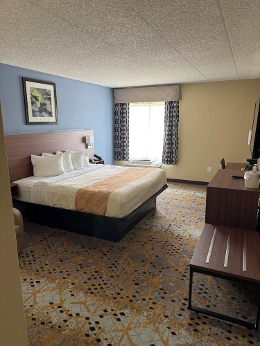 1 Bedroom Standard Double room