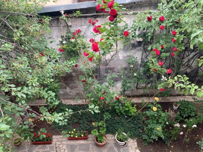Studio with balcony and with garden view