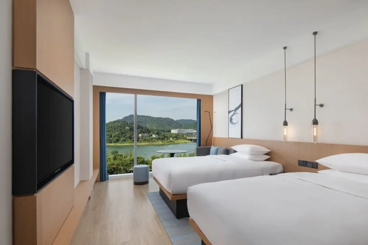 Deluxe Twin room with lake view
