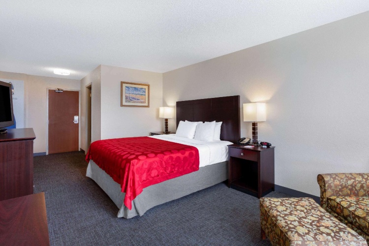Standard Double room with pool view