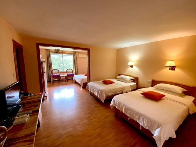 Twin Suite