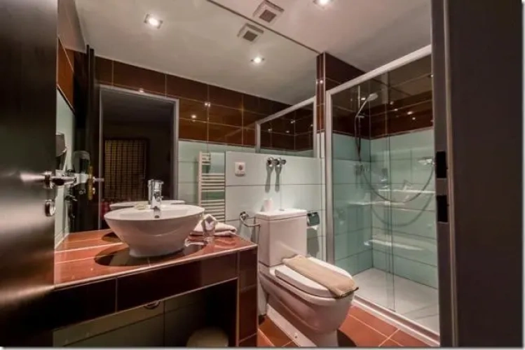 Standard Single room with park view