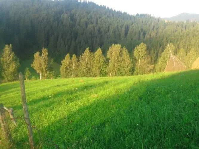 Vila Doina Branului