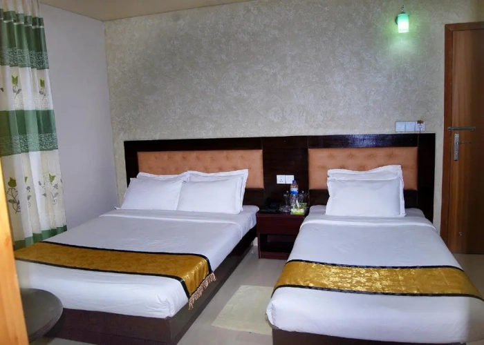 Deluxe Double room with balcony and with view