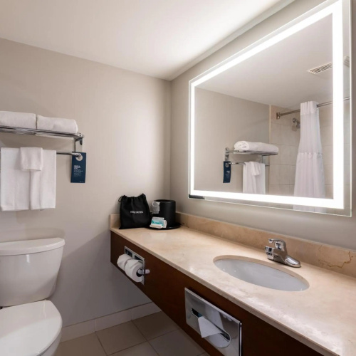 Holiday Inn & Suites London photo 11