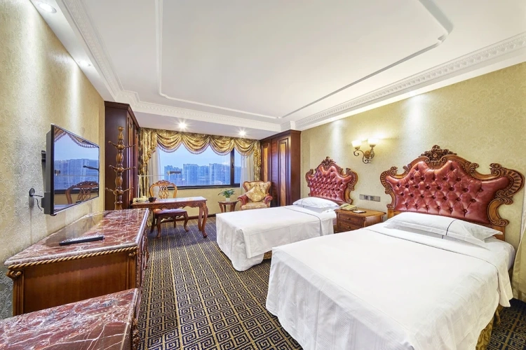 Executive Twin room with city view