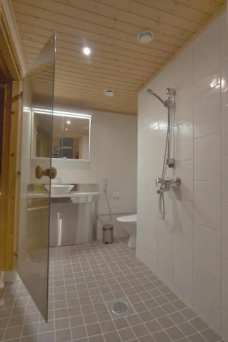 Tunturipöllö 2