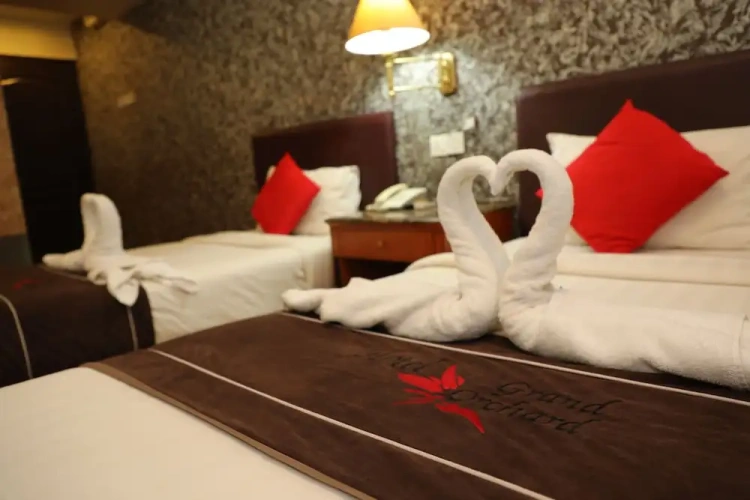 Superior Twin room