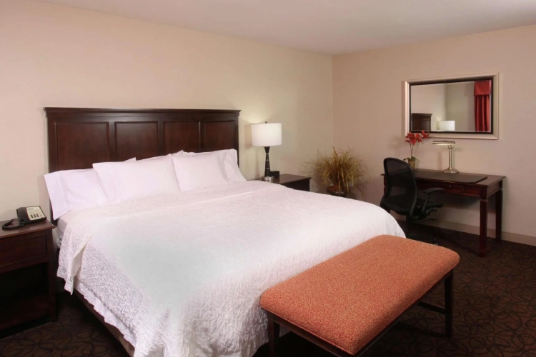 1 Bedroom Double Suite