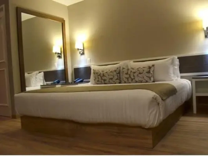 1 Bedroom Quadruple Suite