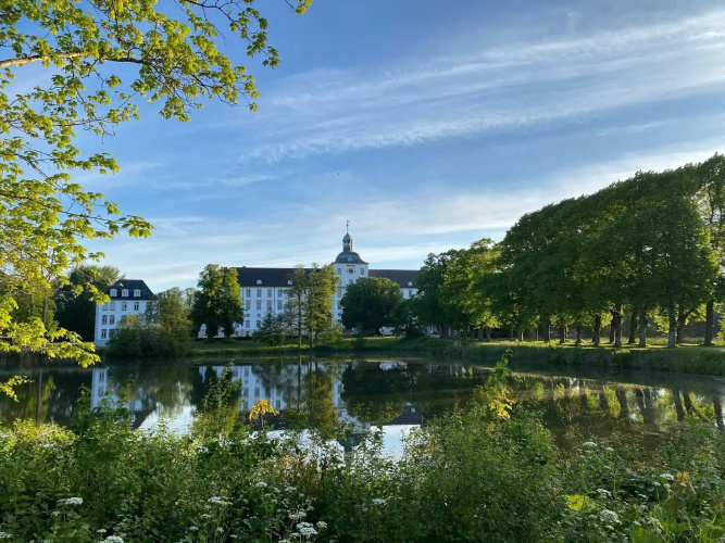 Reethüs Schleiblick
